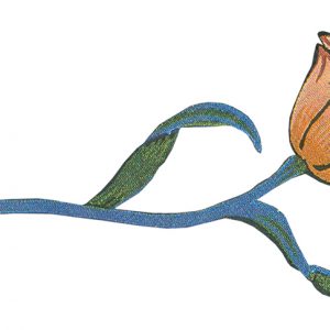 La rosa bianca. Ovvero, i poeti e la musica